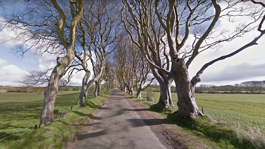 Dark Hedges is the King’s Road of Game of Thrones